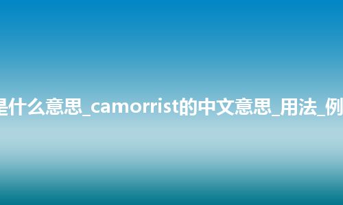 camorrist是什么意思_camorrist的中文意思_用法_例句_英语短语