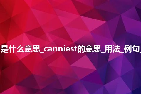 canniest是什么意思_canniest的意思_用法_例句_英语短语