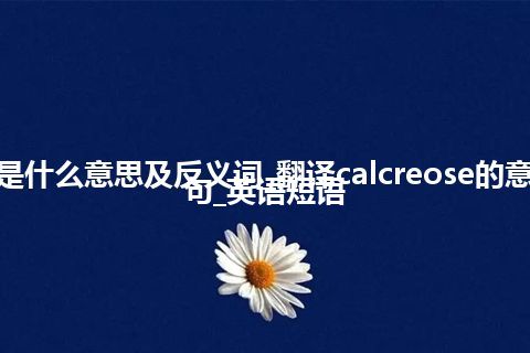 calcreose是什么意思及反义词_翻译calcreose的意思_用法_例句_英语短语