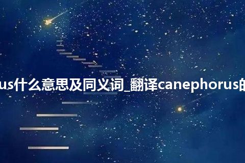 canephorus什么意思及同义词_翻译canephorus的意思_用法