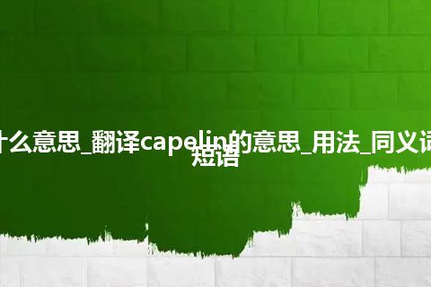 capelin是什么意思_翻译capelin的意思_用法_同义词_例句_英语短语