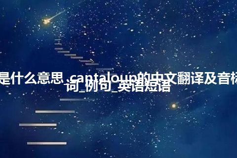 cantaloup是什么意思_cantaloup的中文翻译及音标_用法_同义词_例句_英语短语