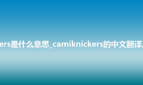 camiknickers是什么意思_camiknickers的中文翻译及用法_用法