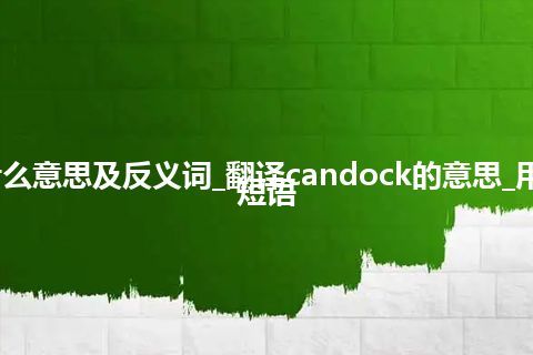 candock是什么意思及反义词_翻译candock的意思_用法_例句_英语短语