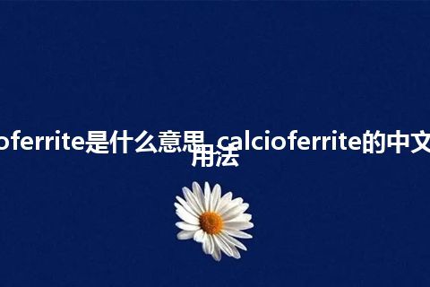 calcioferrite是什么意思_calcioferrite的中文意思_用法