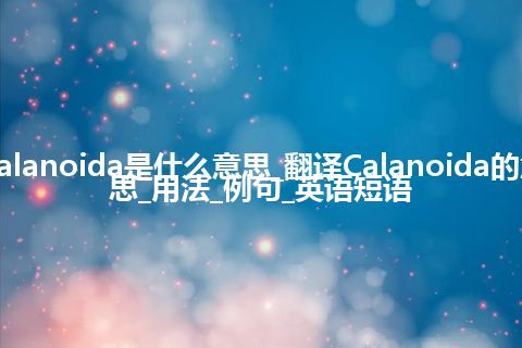 Calanoida是什么意思_翻译Calanoida的意思_用法_例句_英语短语