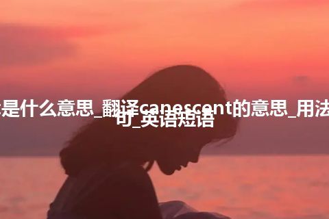 canescent是什么意思_翻译canescent的意思_用法_同义词_例句_英语短语