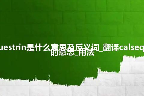 calsequestrin是什么意思及反义词_翻译calsequestrin的意思_用法