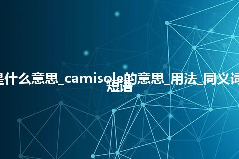 camisole是什么意思_camisole的意思_用法_同义词_例句_英语短语