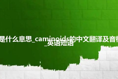 caminoids是什么意思_caminoids的中文翻译及音标_用法_例句_英语短语