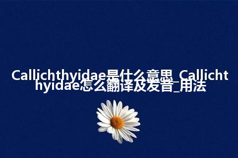 Callichthyidae是什么意思_Callichthyidae怎么翻译及发音_用法