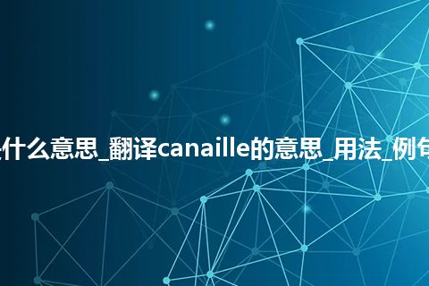 canaille是什么意思_翻译canaille的意思_用法_例句_英语短语