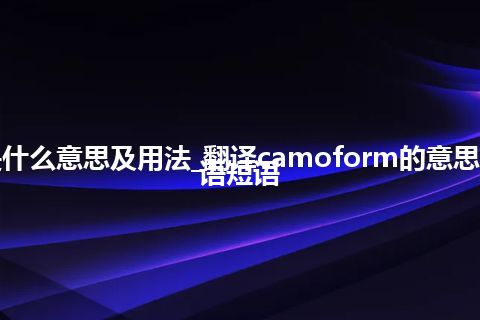 camoform是什么意思及用法_翻译camoform的意思_用法_例句_英语短语