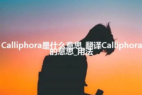 Calliphora是什么意思_翻译Calliphora的意思_用法