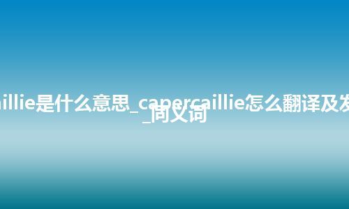 capercaillie是什么意思_capercaillie怎么翻译及发音_用法_同义词