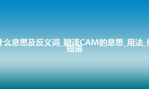 CAM是什么意思及反义词_翻译CAM的意思_用法_例句_英语短语