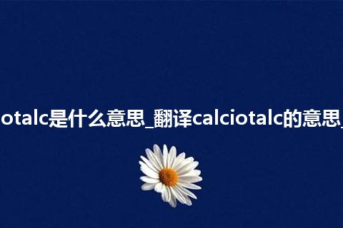 calciotalc是什么意思_翻译calciotalc的意思_用法