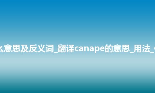 canape是什么意思及反义词_翻译canape的意思_用法_例句_英语短语