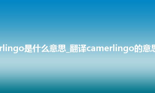 camerlingo是什么意思_翻译camerlingo的意思_用法