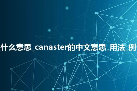 canaster是什么意思_canaster的中文意思_用法_例句_英语短语