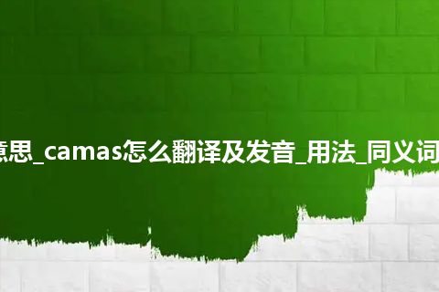 camas是什么意思_camas怎么翻译及发音_用法_同义词_例句_英语短语