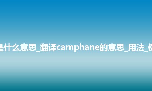 camphane是什么意思_翻译camphane的意思_用法_例句_英语短语