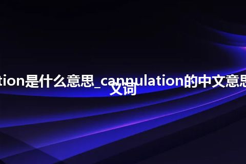 cannulation是什么意思_cannulation的中文意思_用法_同义词