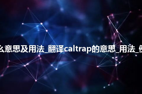 caltrap是什么意思及用法_翻译caltrap的意思_用法_例句_英语短语