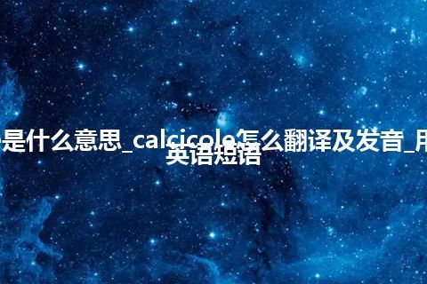 calcicole是什么意思_calcicole怎么翻译及发音_用法_例句_英语短语