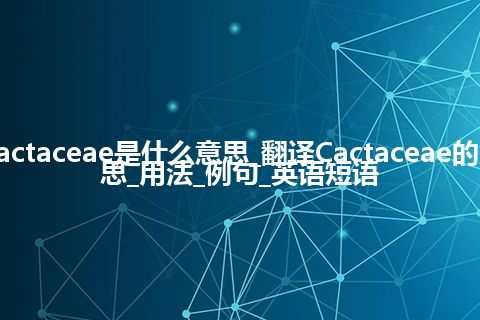 Cactaceae是什么意思_翻译Cactaceae的意思_用法_例句_英语短语