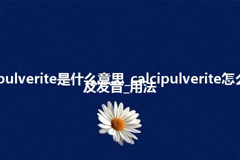 calcipulverite是什么意思_calcipulverite怎么翻译及发音_用法