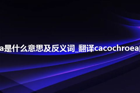 cacochroea是什么意思及反义词_翻译cacochroea的意思_用法