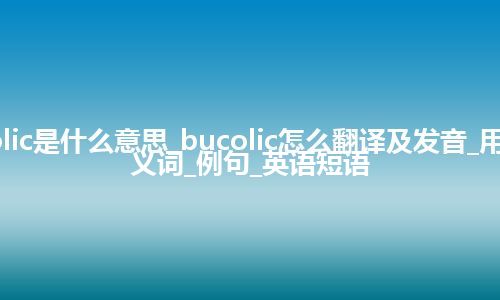 bucolic是什么意思_bucolic怎么翻译及发音_用法_同义词_例句_英语短语