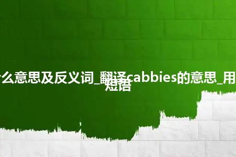 cabbies是什么意思及反义词_翻译cabbies的意思_用法_例句_英语短语