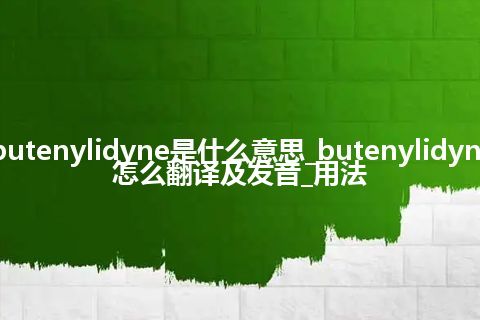 butenylidyne是什么意思_butenylidyne怎么翻译及发音_用法