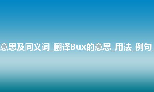 Bux什么意思及同义词_翻译Bux的意思_用法_例句_英语短语