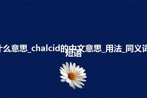 chalcid是什么意思_chalcid的中文意思_用法_同义词_例句_英语短语