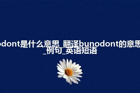 bunodont是什么意思_翻译bunodont的意思_用法_例句_英语短语