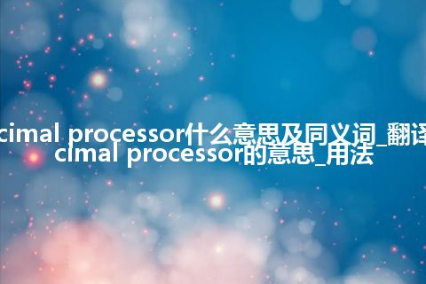 decimal processor什么意思及同义词_翻译decimal processor的意思_用法