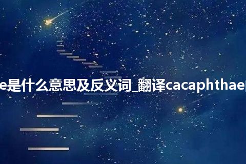 cacaphthae是什么意思及反义词_翻译cacaphthae的意思_用法