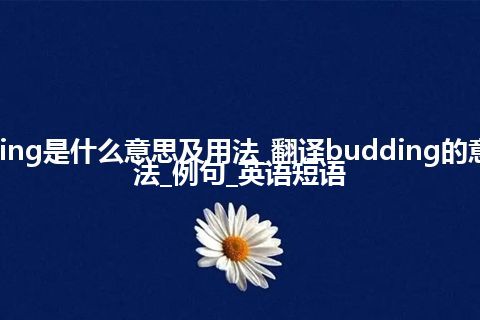 budding是什么意思及用法_翻译budding的意思_用法_例句_英语短语