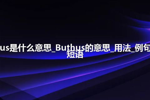 Buthus是什么意思_Buthus的意思_用法_例句_英语短语