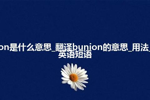 bunion是什么意思_翻译bunion的意思_用法_例句_英语短语