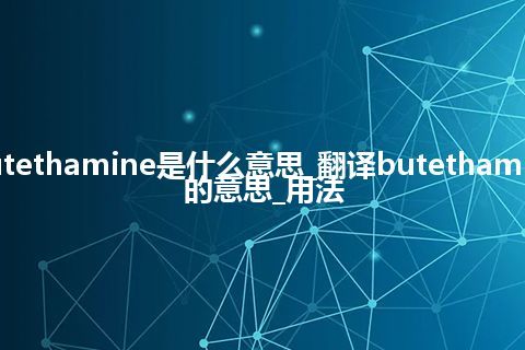 butethamine是什么意思_翻译butethamine的意思_用法