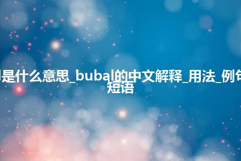 bubal是什么意思_bubal的中文解释_用法_例句_英语短语