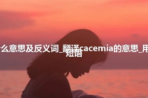 cacemia是什么意思及反义词_翻译cacemia的意思_用法_例句_英语短语