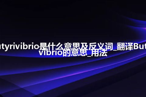 Butyrivibrio是什么意思及反义词_翻译Butyrivibrio的意思_用法