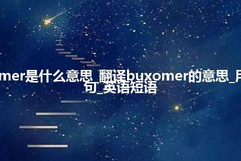 buxomer是什么意思_翻译buxomer的意思_用法_例句_英语短语