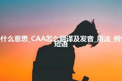 CAA是什么意思_CAA怎么翻译及发音_用法_例句_英语短语