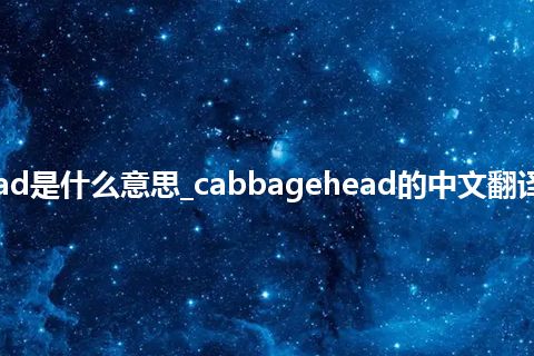 cabbagehead是什么意思_cabbagehead的中文翻译及用法_用法